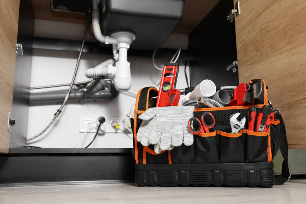 Best Drain Cleaning Services  in Pasadena Hills, FL
