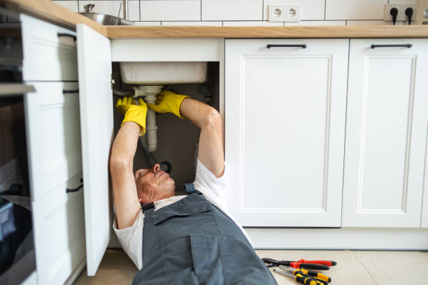 Best 24-Hour Plumber Near Me  in Pasadena Hills, FL