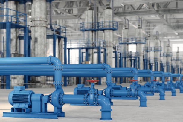 Best Plumbing Inspection Services  in Pasadena Hills, FL