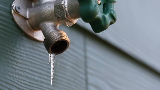 Best Shower Repair Services  in Pasadena Hills, FL