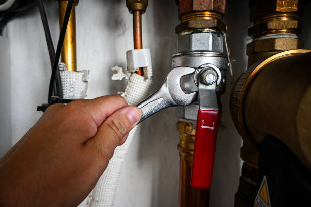 Best Plumbing Services Near Me  in Pasadena Hills, FL